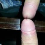 my cock