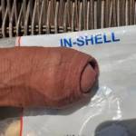 my tip is in it's soft shell. Make him grow to get out.