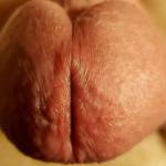 Suckable cock dick penis head close-up