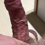 I was feeling inspired by a particularly horny wife in Warrington, who told me my Cock was 'very suckable....' and took a few new pics with my iPhone Pro. Lots of lube and cock rings out too.....let me know of there is anything I can do for you....
