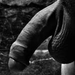 b/w
