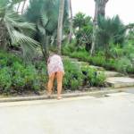 walking around showing with no panties on