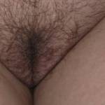 Just love her hairy pussy.