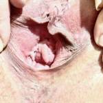 100 percent guaranteed to pleasure & satisfy a throbbing cock