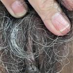 Hairy wet