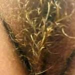 I get  up and for no reason… My pussy is blonde , do you think so ?