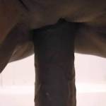 Big boy feels so good sliding in and out of my pussy