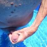 Short video I made a week or so ago of cumming in my neighbor's pool..