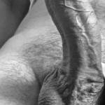 like ?