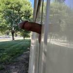 Looking for joggers!!