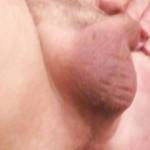 Shaved or not?