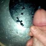 Cum drumming