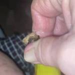 Wife  loves a change. Of play