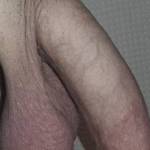 So you like big beautiful cocks, meat gazer?