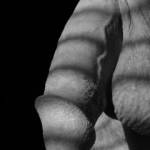 Good Morning Sun..lots of requests for a relaxed view so here you go Zoigers.....a little artistic granted the blind shadows conveniently mark inches for those who are size conscience you can do the math when  its hard.....