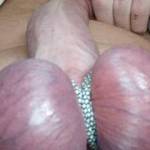 My plums
