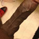 He loves to be slapped around and stroked!