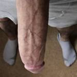 Horny cock
