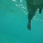 Underwater-Greece