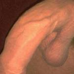 Does he lQQk better shaved  ??