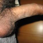my H-b wish to have a sexy chunky plump lady FJ me. any out there?