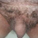 hairy small cock