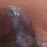 All Day I Dream About Sex