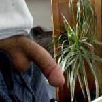 can u make me hard??