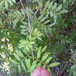 There is something MAGICAL about cumming in the middle of nowhere. I wish you could be here with your mouth opened... Mmmh