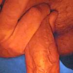 One of my favorite photos of my husband's veiny cock