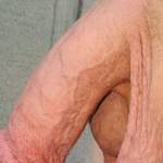 Fresh Beautiful ginger soft hanging dick cock and balls