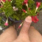 Out in the morning, enjoying the flowers