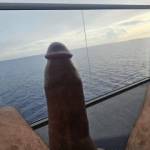 Anyone wanna join me on this cruise? 🛳️