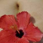 Do you like my flower?