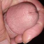 Cock head
