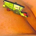 Caught a young injured bird in the back yard. Looked in Bev's cupboard for an old shoe box to put it in. While there I found a memory stick with pics of her and her ex. She said she kept them so he couldn't have them.Her ex Barry had her at a great age 21