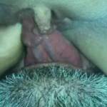 I’ve got him right where I want him, he does such a good job when I sit on his face, wouldn’t you agree ladies !!!!!