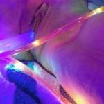 You light up my wife