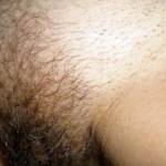 Wife hairy Pussy before she shaved it. hairy, wife, milf, pussy, closeup, amateur