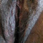 GREAT PUSSY