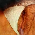 Zoig friend asked me to tribute