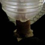 fucking my fleshlight ice for the 1st time for chix2!  thanks for encouraging me to get one :-)