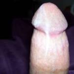 last spurt of cum oozing out of my dick after painting a pretty pussy with a cream pie . would you let it go to waste or would you ...?