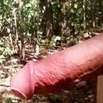 Almost getting caught when I strolled into a National park got me so hard that I ended up jerking off once I got back into the nudist area! Felt good to have my cum dripping from my cock outdoors.