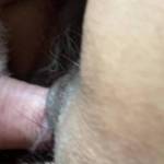 Nice morning fuck