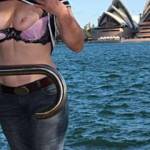 This is as Aussie as it gets lol. Sydney Harbour and the Opera House.