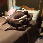 Why is it so hot to fuck a wife that has been given to you by her husband then he watches and takes pics?  Love it!