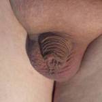 My small, shaved cock and balls.