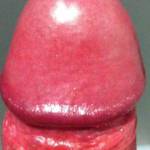 Glans closeup 8-)