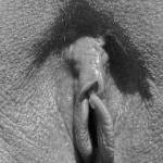pussy